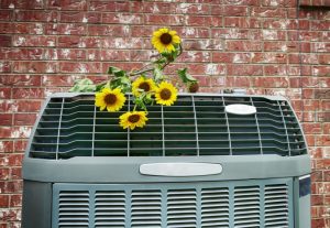 heat-pump-outdoor-unit-with-flowers